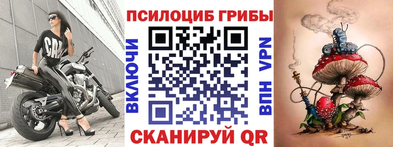 Купить где  Бабушкин  Галлюциногенные грибы Magic Shrooms 